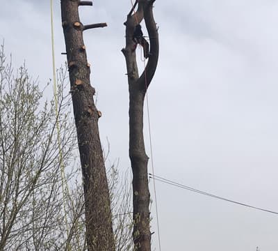 Carlos Maseda - Jardinería en Narón