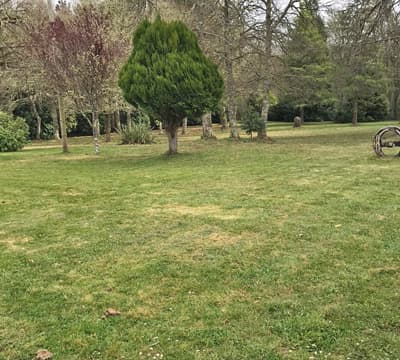 Carlos Maseda - Jardinería en Narón