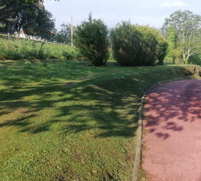 Carlos Maseda - Jardinería en Narón