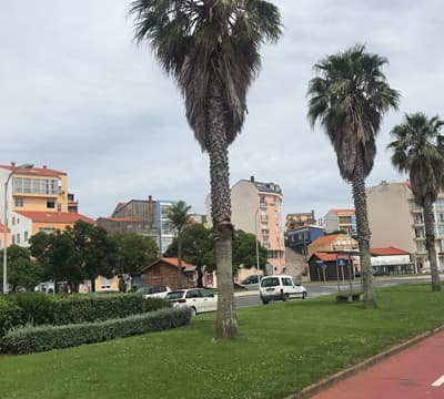 Carlos Maseda - Jardinería en Narón